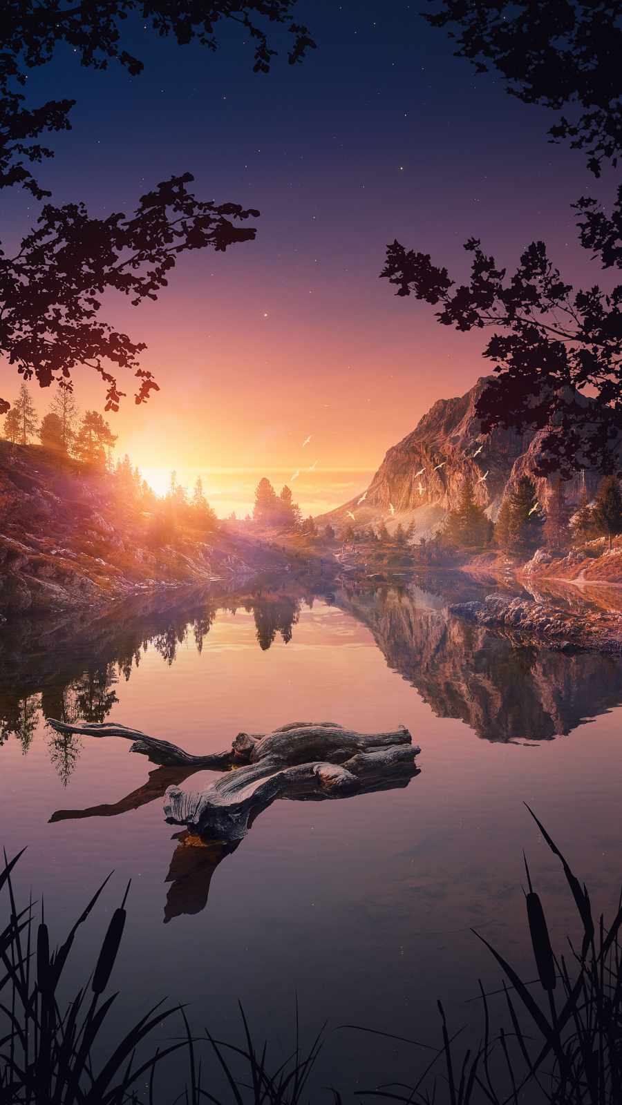900x1600 Sunrise Reflection On Water Wallpaper : iPhone Wallpaper
