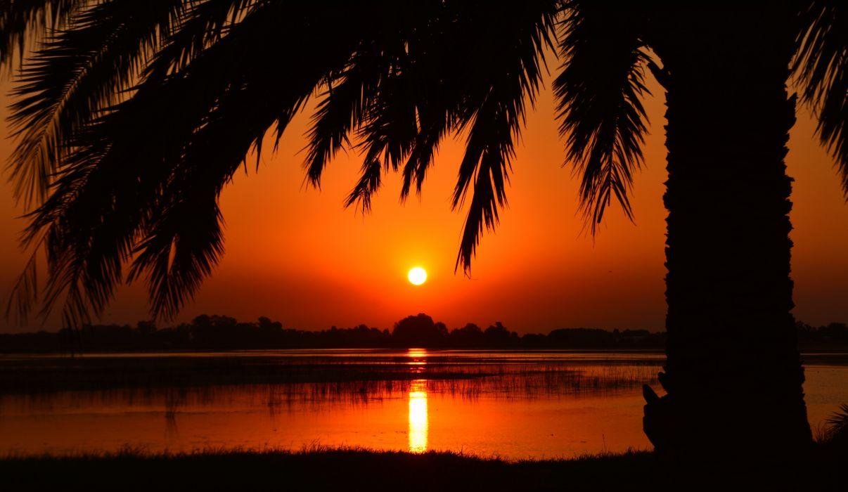 1206x700 Backlit calm clear sky dawn dusk golden hour idyllic nature palm trees peaceful quiet reflection river scenic silhouette sky sunrise sunset tranquil water wallpaperx3483