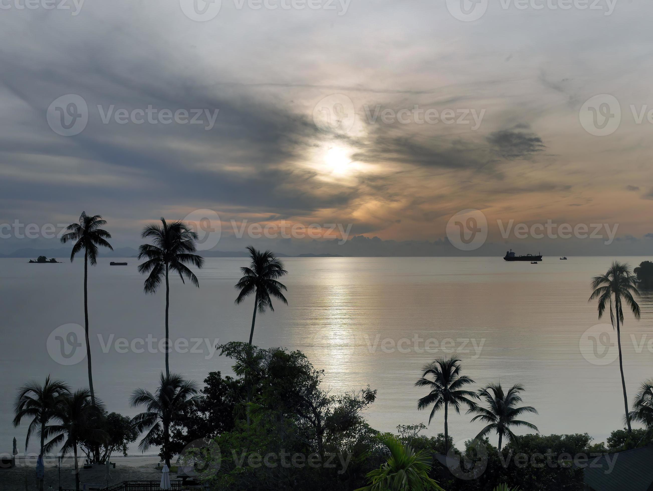 2606x1960 Wallpaper of peaceful sunrise sunset seascape and ocean sky with coconut silhouette foreground