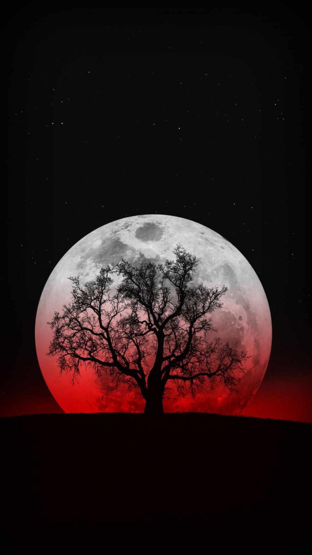 Moon Mobile Wallpapers - Top Free Moon Mobile Backgrounds - WallpaperAccess