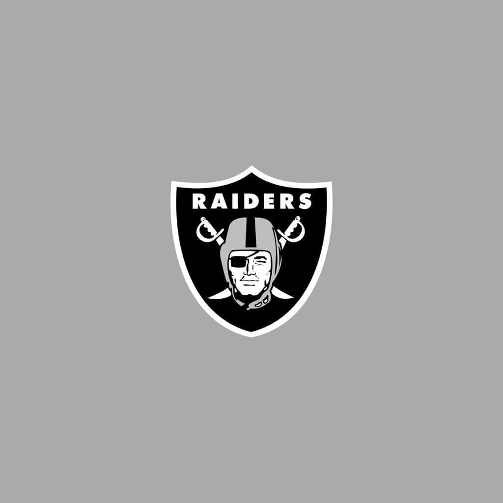 1024x1024 Free Raiders Wallpaper Downloads, Raiders Wallpaper for FREE