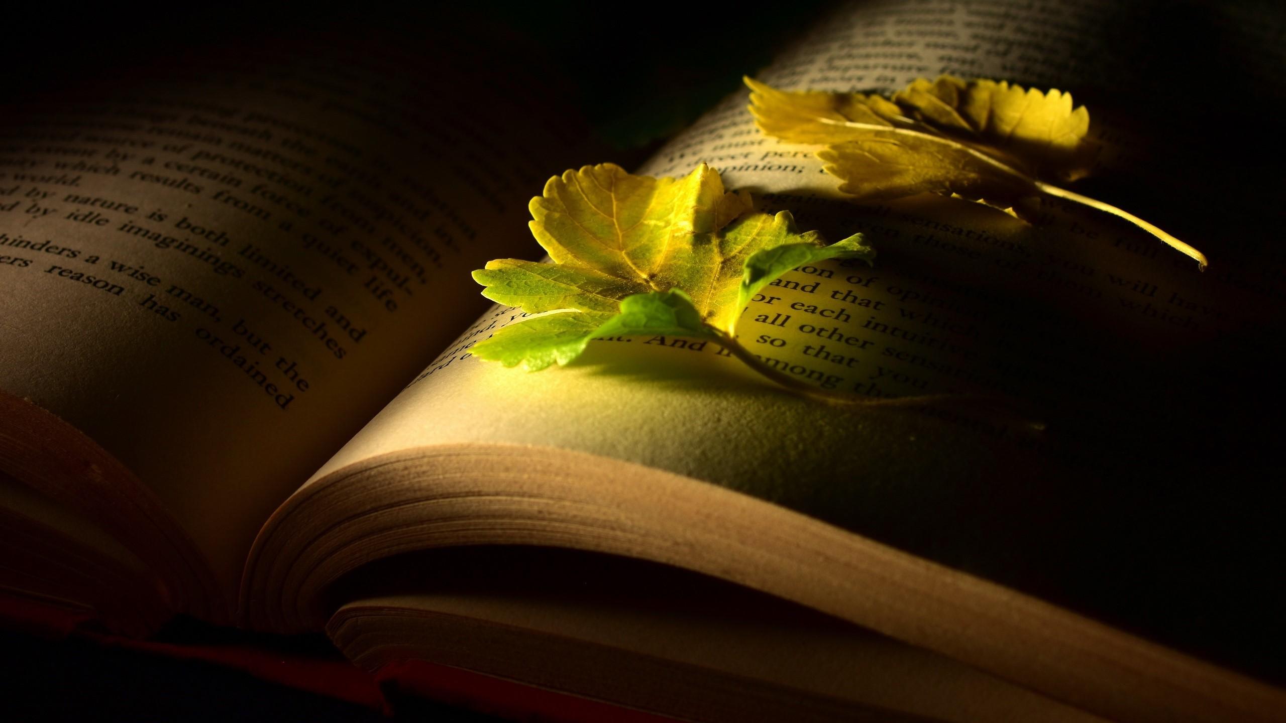 Literary Desktop Wallpapers - Top Free Literary Desktop Backgrounds
