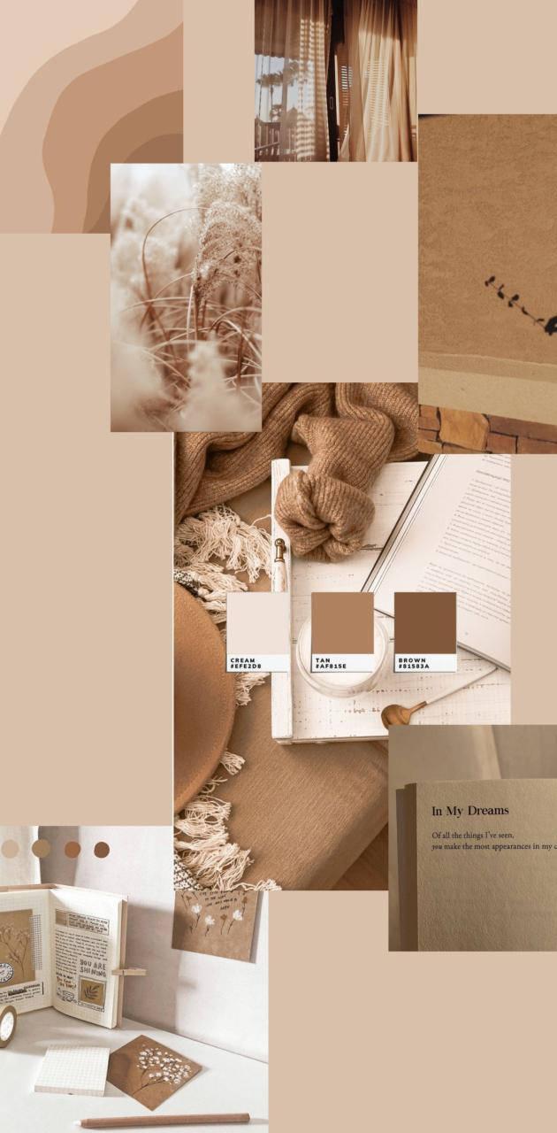 630x1280 Download Color Beige Aesthetic Collage Wallpaper