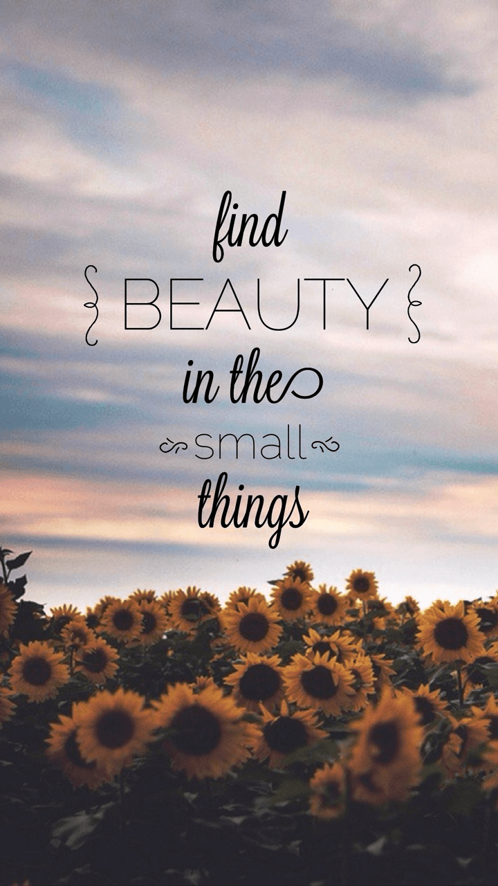 720x1280 Find #beauty in the small things. #motivational #inspirational