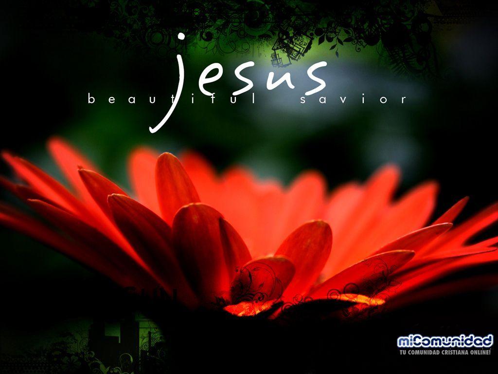 1024x768 Jesus Beautiful Savior. My Art. Christian wallpaper, Savior, Christ