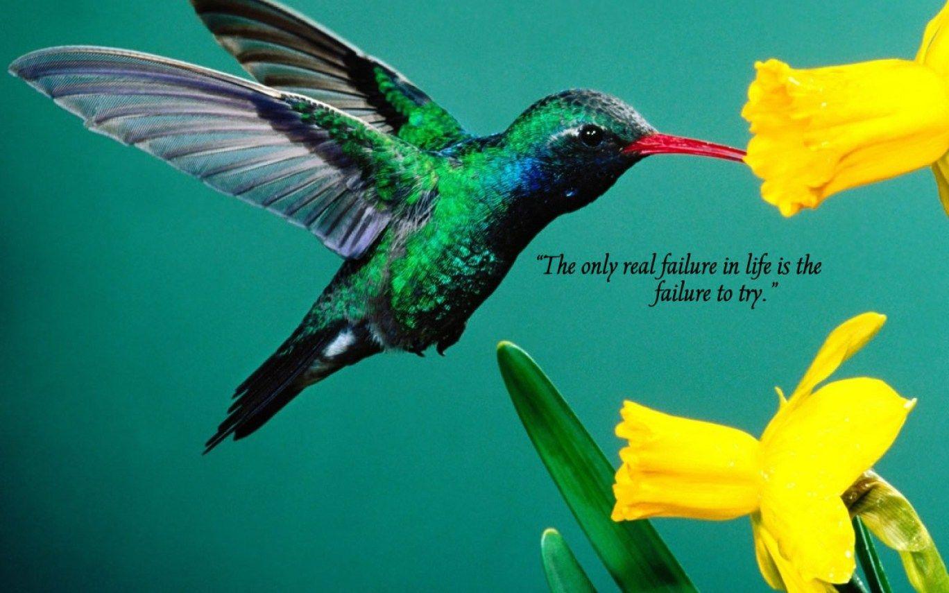 1368x855 Beautiful Inspirational. Hot Trending Now