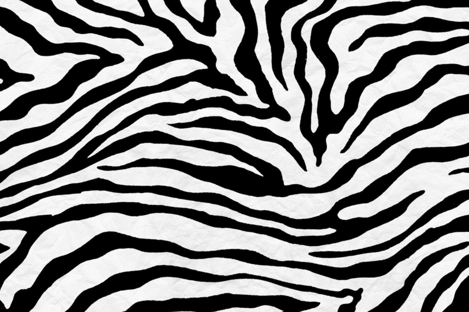 Images Of Zebra Print