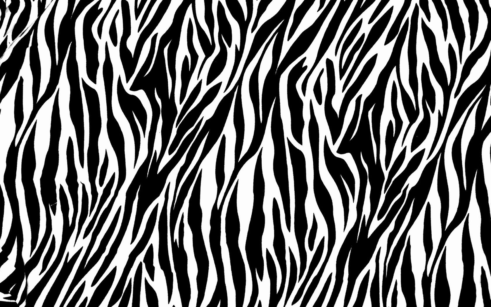 Zebra print animal skin HD phone wallpaper  Peakpx
