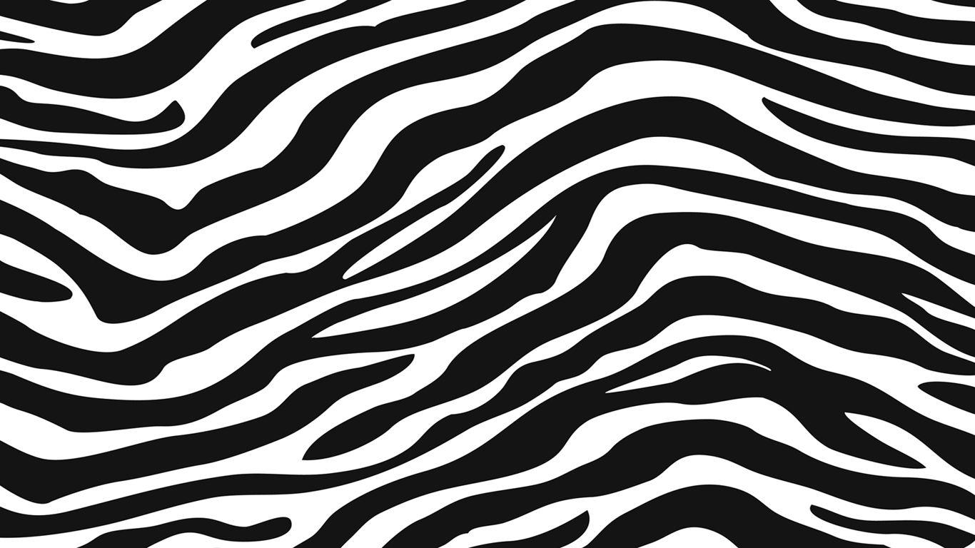 Zebra Pattern Wallpapers - Top Free Zebra Pattern Backgrounds ...