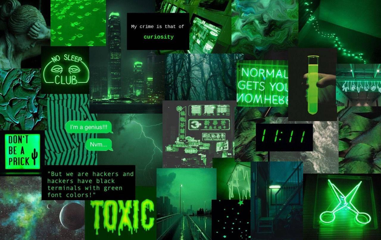 1280x806 Download Dark Green Theme Aesthetic Collage Laptop Wallpaper