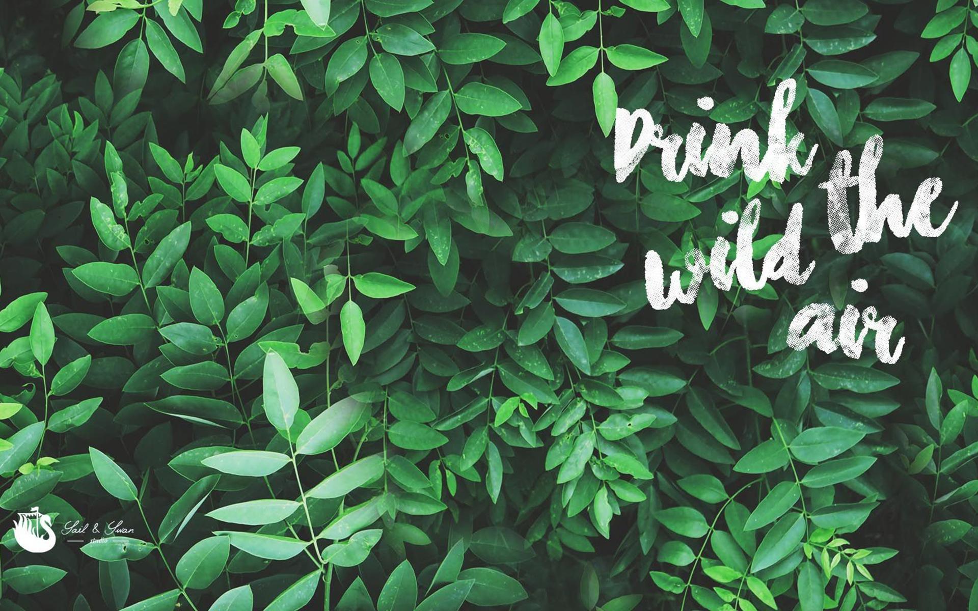 1920x1200 Pastel Green Aesthetic Wallpaper HD