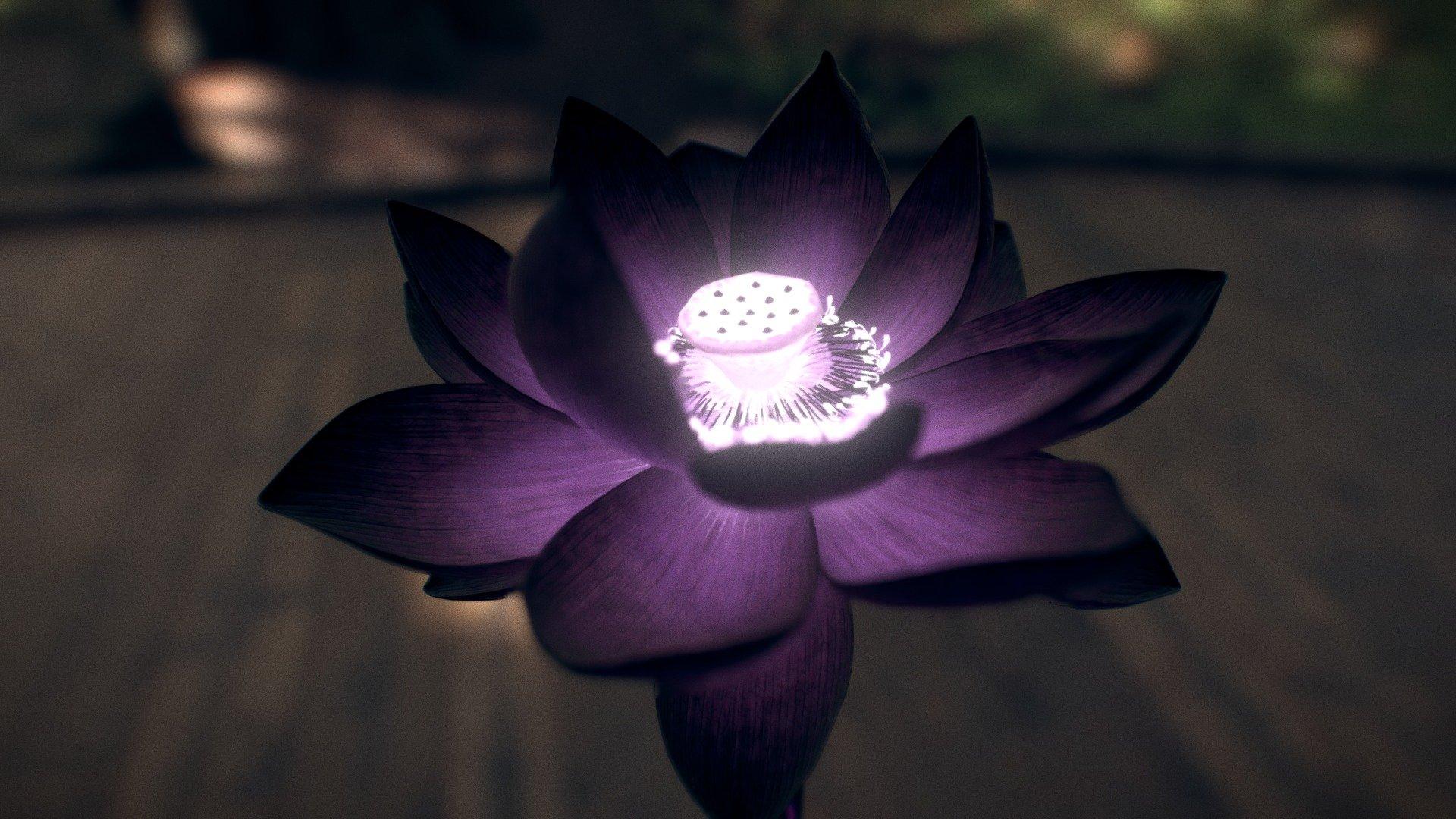 1920x1080 Black Lotus model by Frank Moussette [3c08afd]