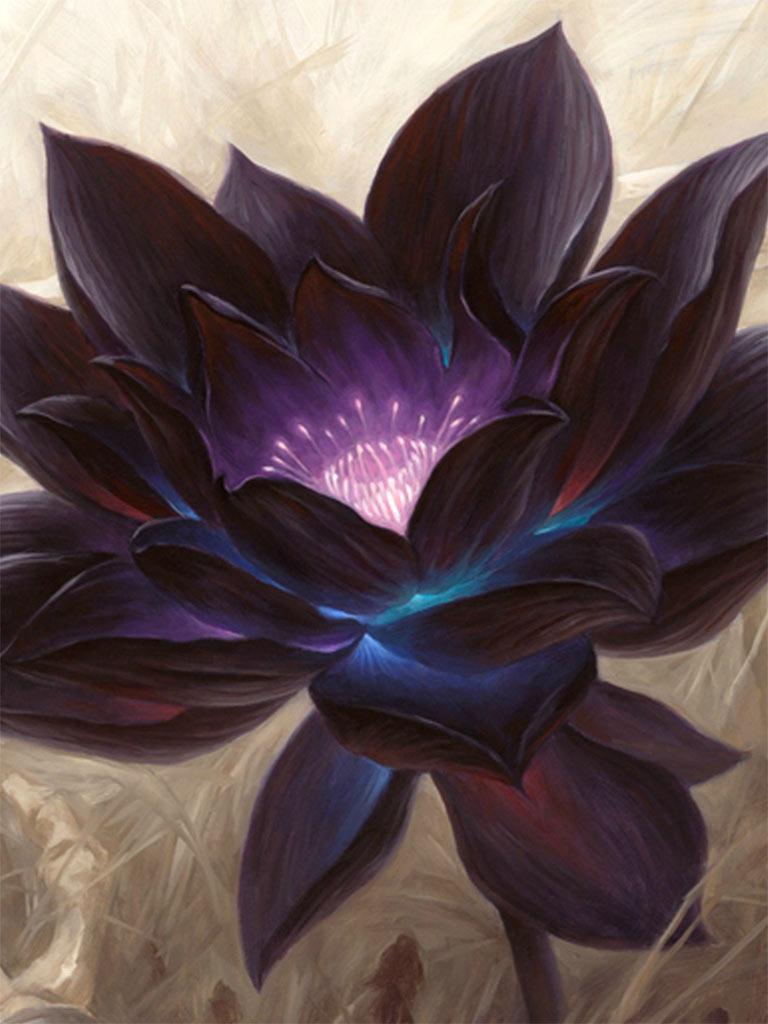 768x1024 MTGNexus Lotus Art