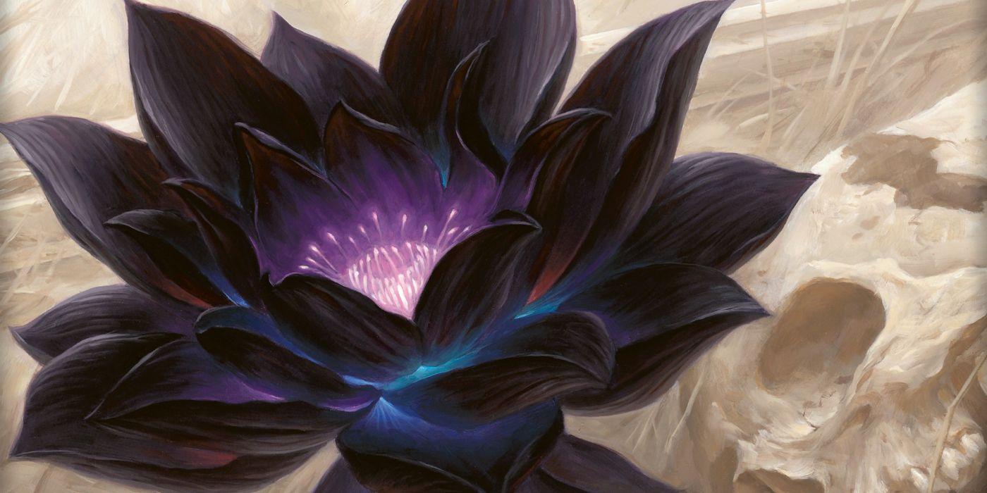 1400x700 A Magic: The Gathering Card Just Sold For Over 000 Dollars
