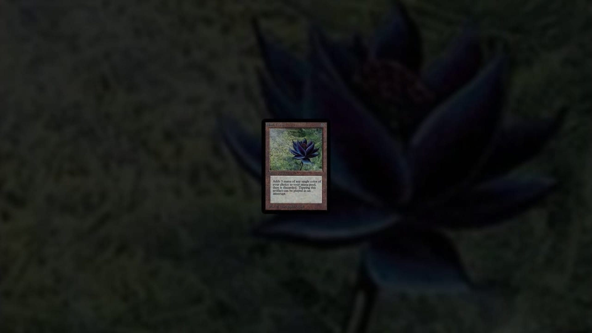 1920x1080 Alpha Black Lotus Auction Sells For Over $ Breaking Previous Record