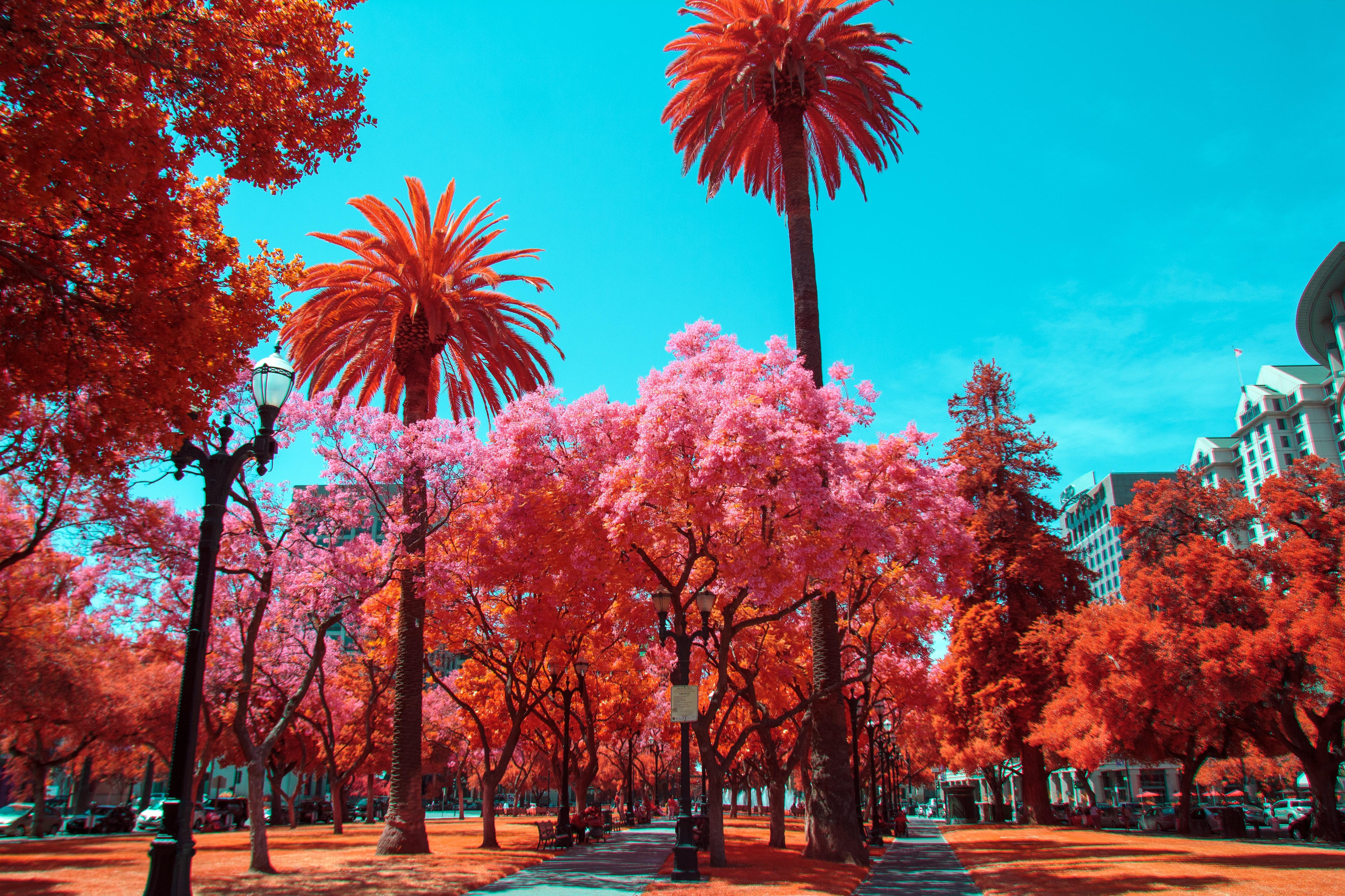 5184x3456 Photography Infrared 4K Gallery HD Wallpaper