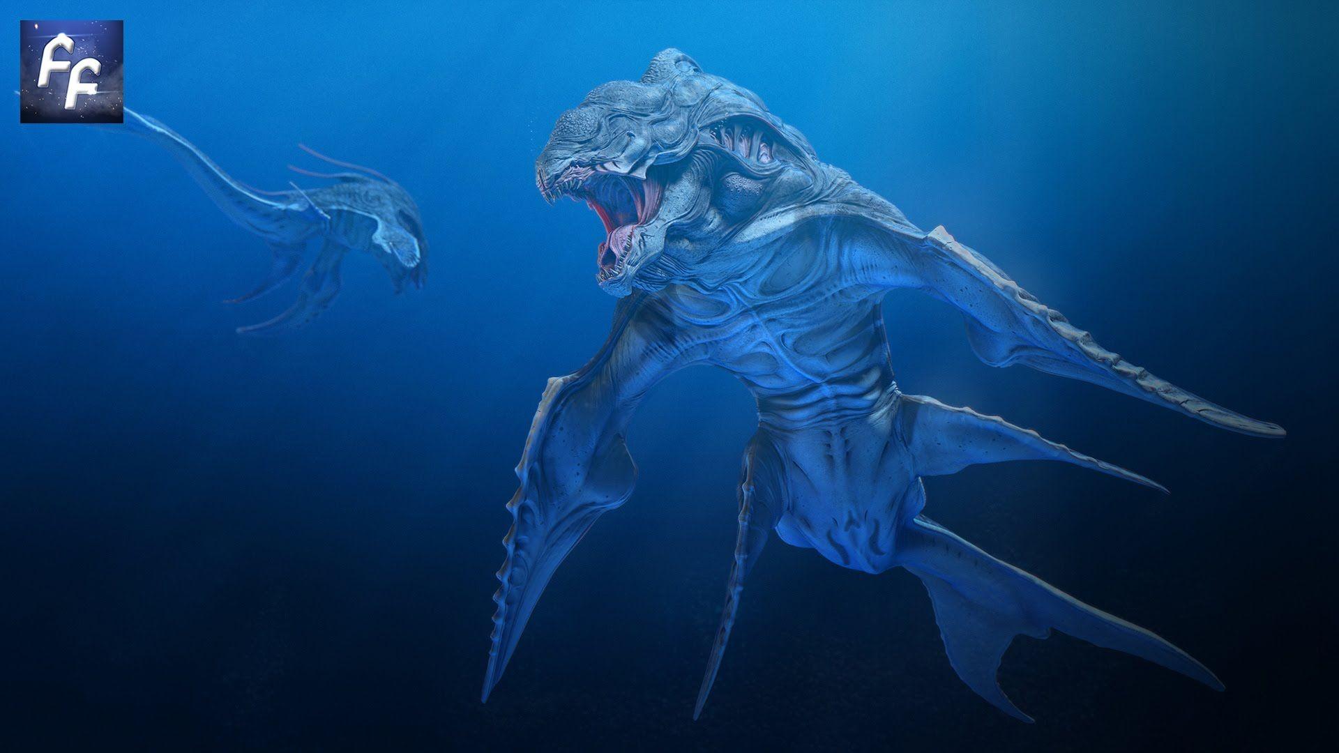 1920x1080 Deep Sea Creatures Wallpaper