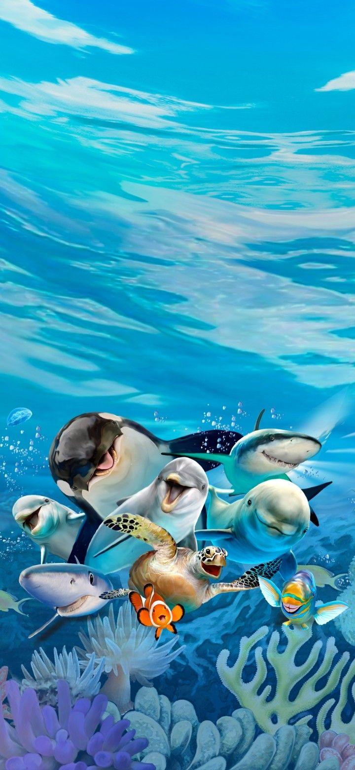 720x1560 Fondos de pantalla. Beautiful sea creatures, Halloween wallpaper, Marine animals