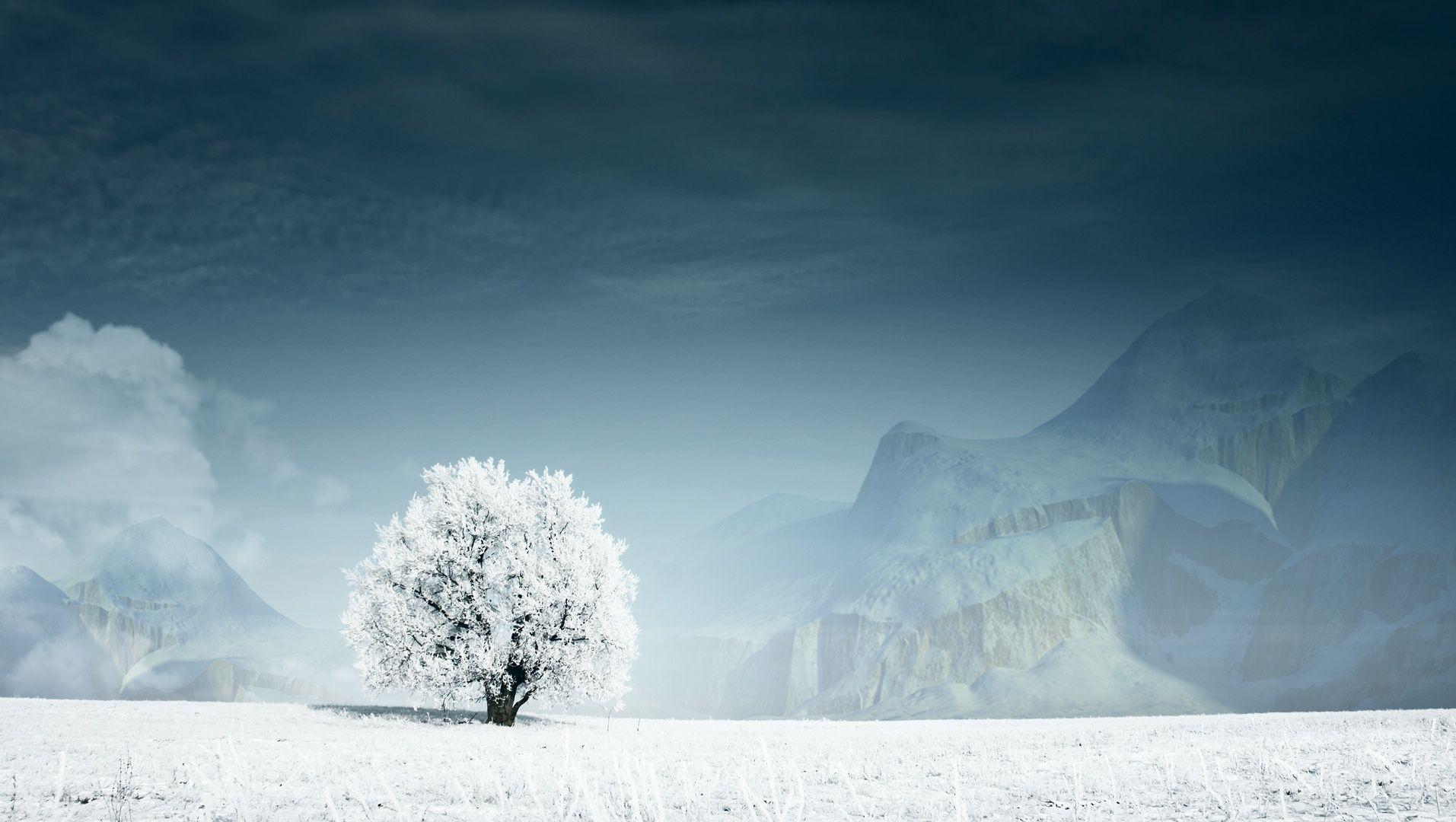 Infrared Photography Wallpapers - Top Free Infrared Photography