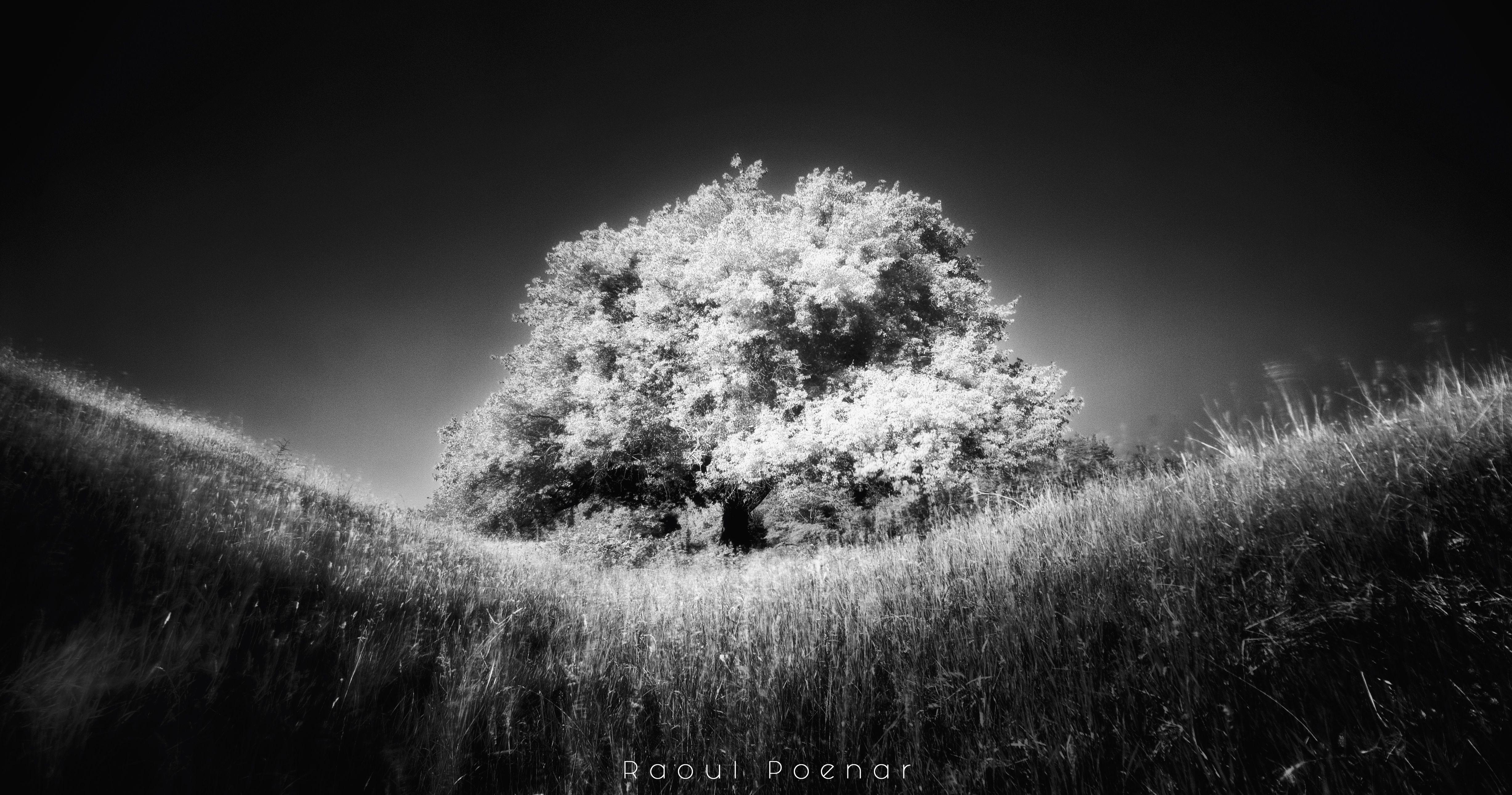 4907x2581 Tried my hand at infrared photography and this is what I learned