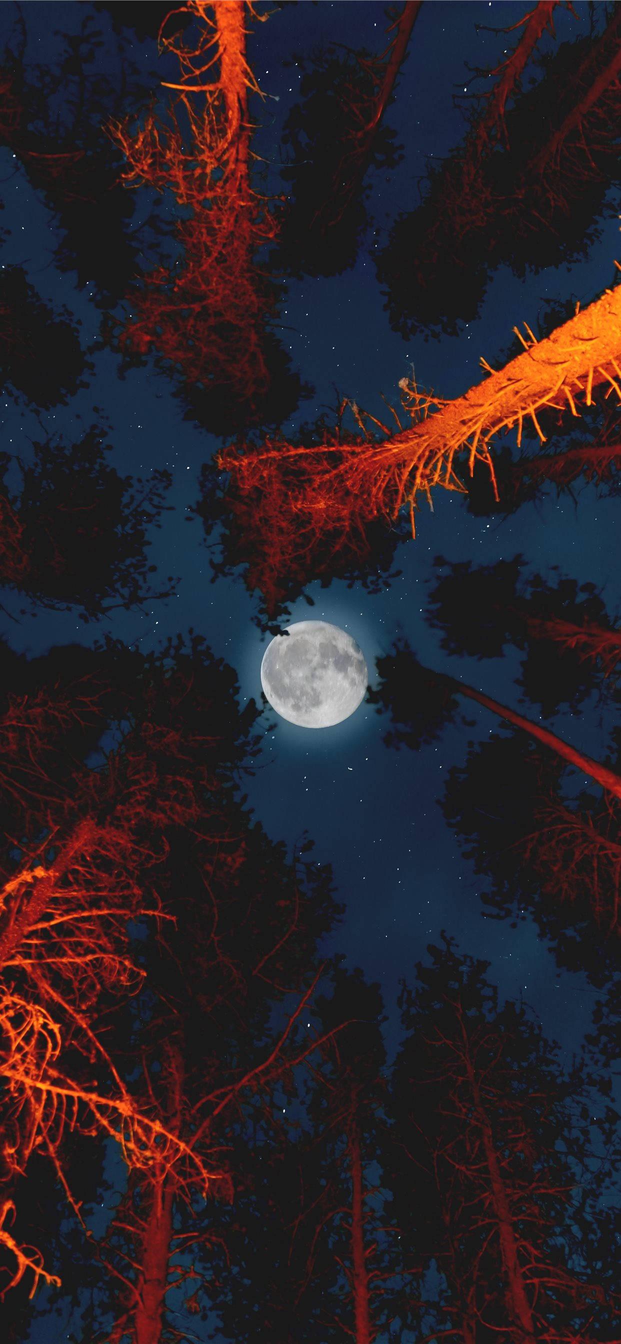 1242x2688 Download Aesthetic iPhone X Full Moon Wallpaper