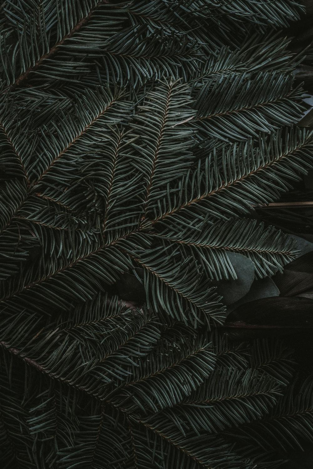 1000x1499 iPhone 8 Wallpaper: Free HD Download [HQ]