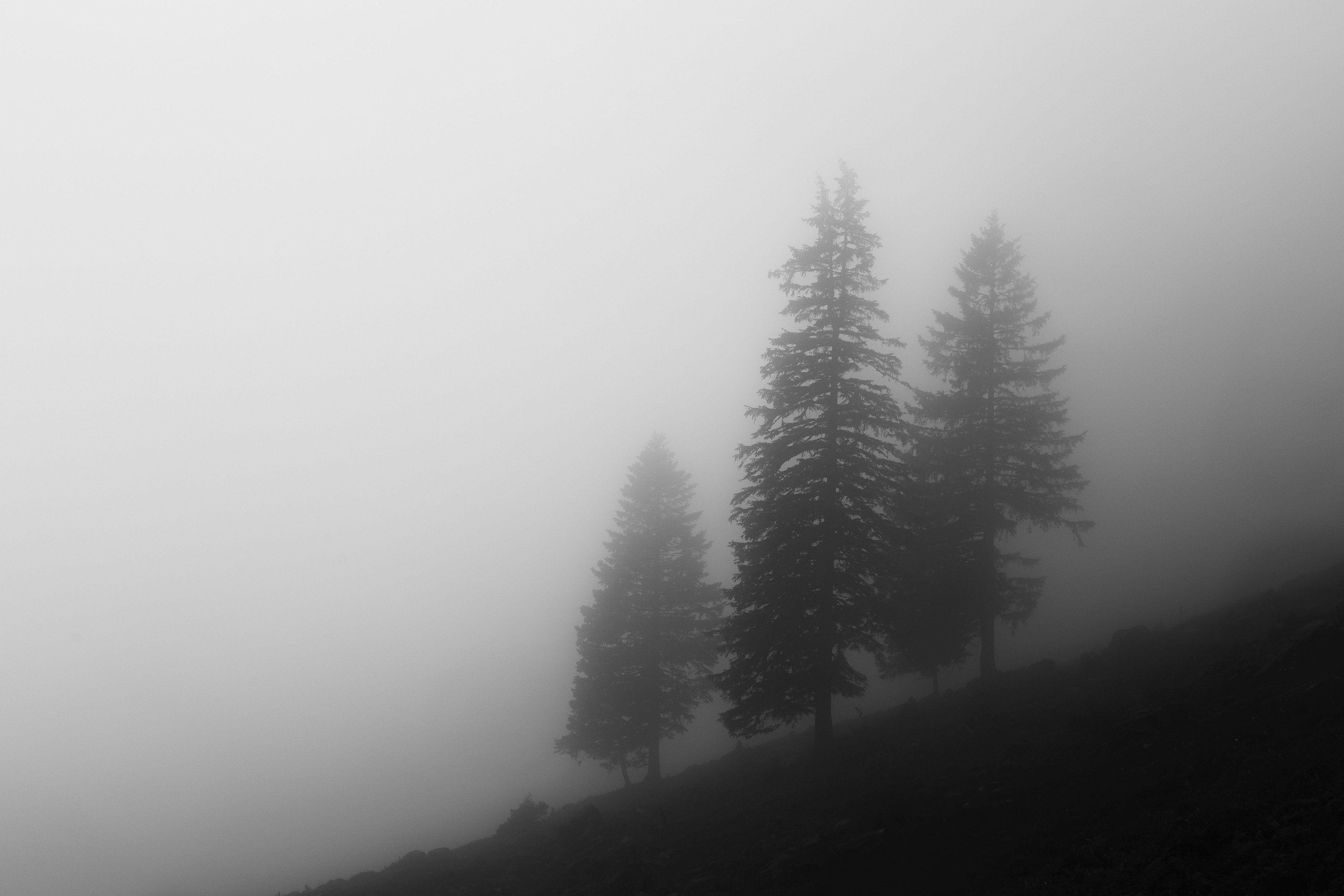 3840x2560 White Clean 4k Wallpaper
