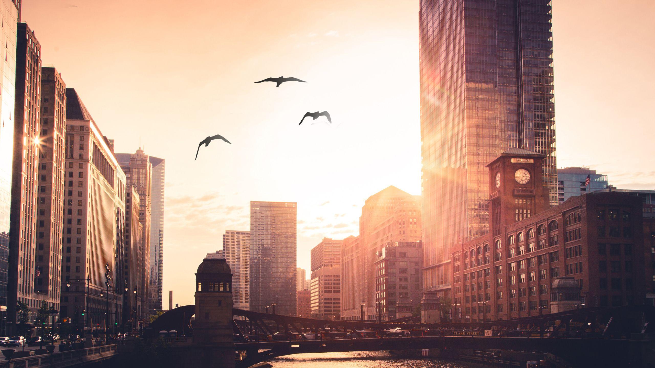 2560x1440 Morning City Wallpaper