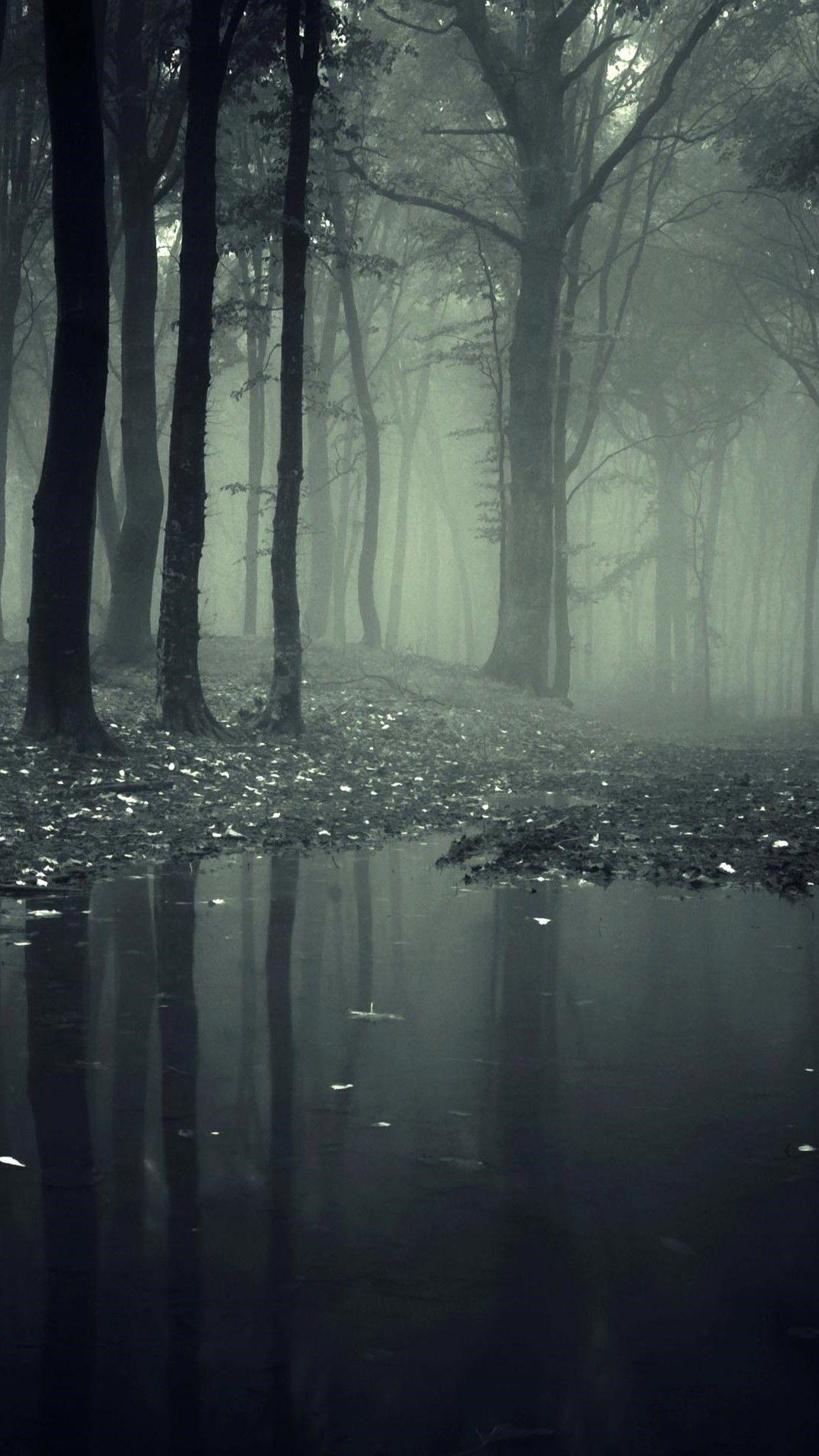 1080x1920 Nature Dark Phone 1080p Wallpaper