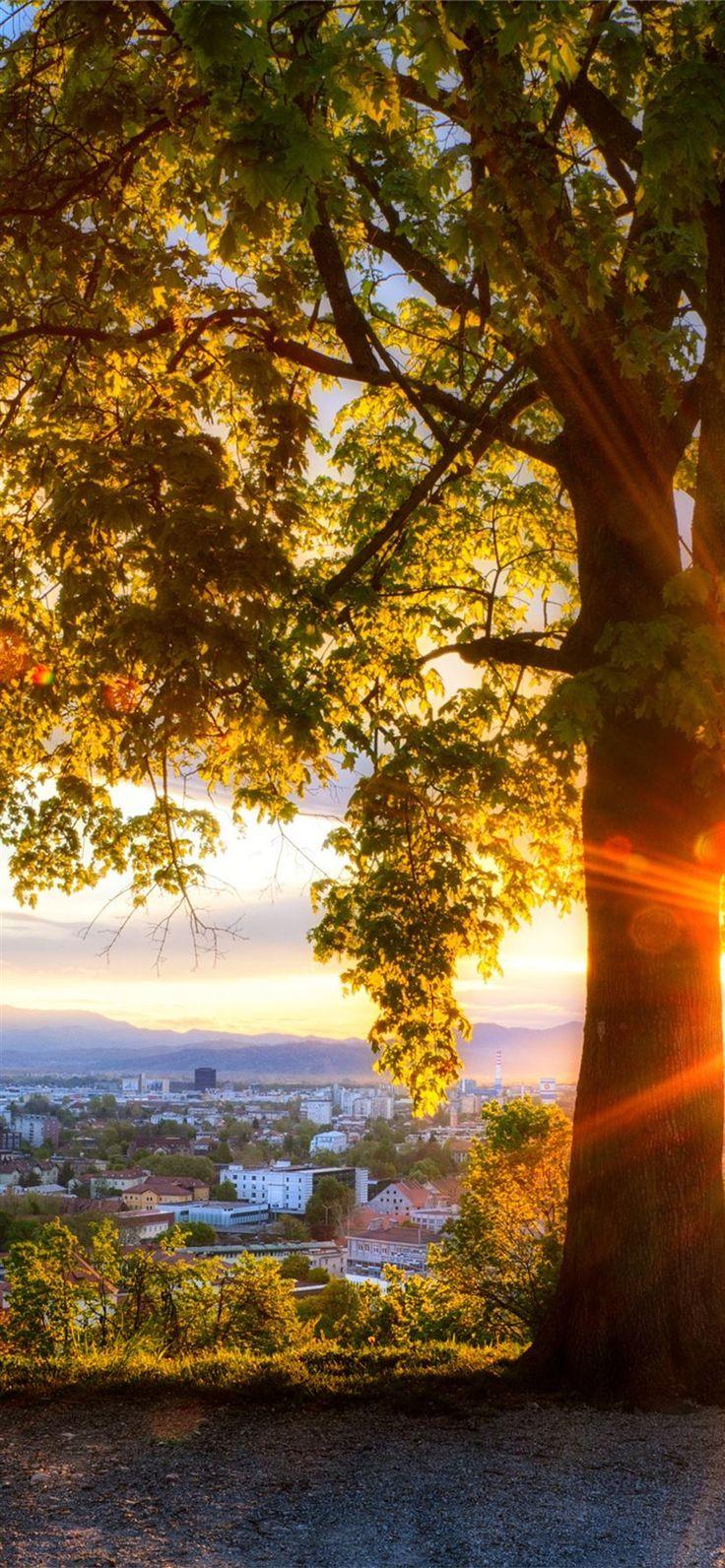 736x1592 city view sunrise looking out #sunrise #nature #city #iPhone11Wallpaper. Nature photography, Background phone wallpaper, Wallpaper