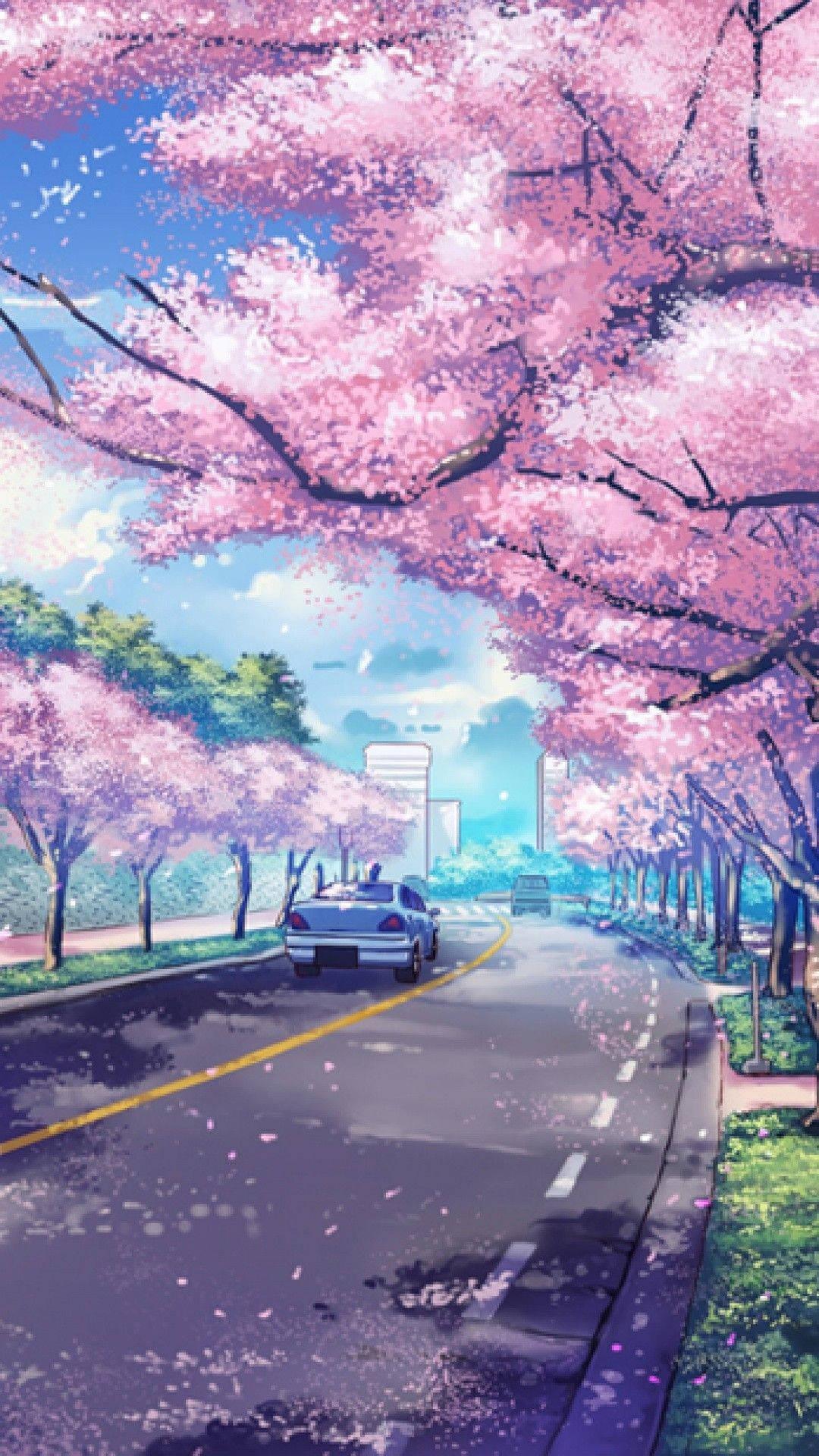1080x1920 Download Anime Cherry Blossoms iPhone Wallpaper