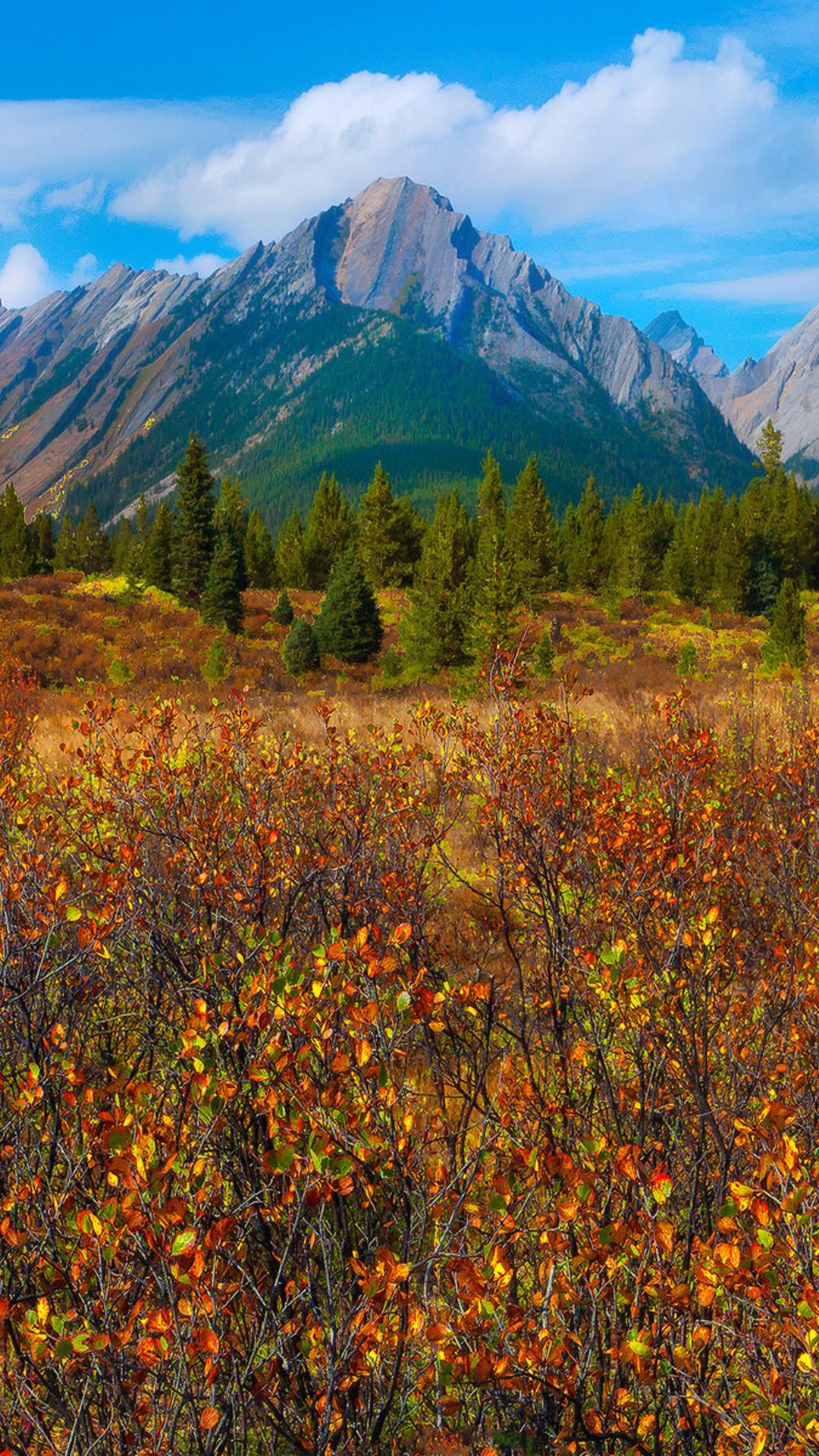 1080x1920 Wallpaper Weekends: Fall has Dell