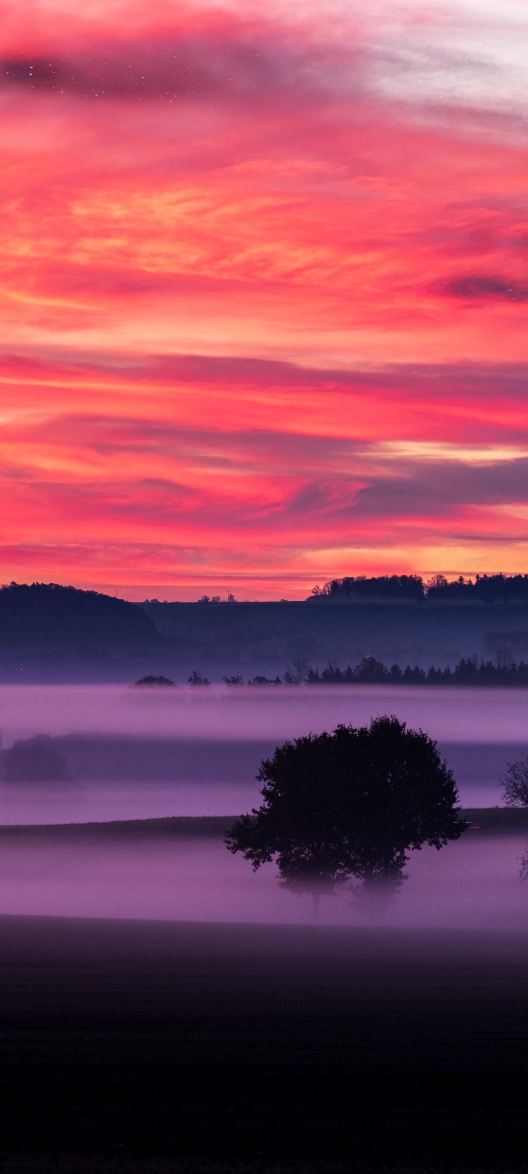 1080x2400 Orange sky Wallpaper 4K, Sunset, Landscape, Nature