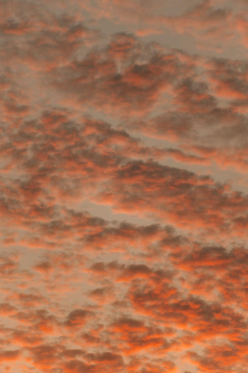 1000x1503 Orange Sky Picture [HD]. Download Free Image