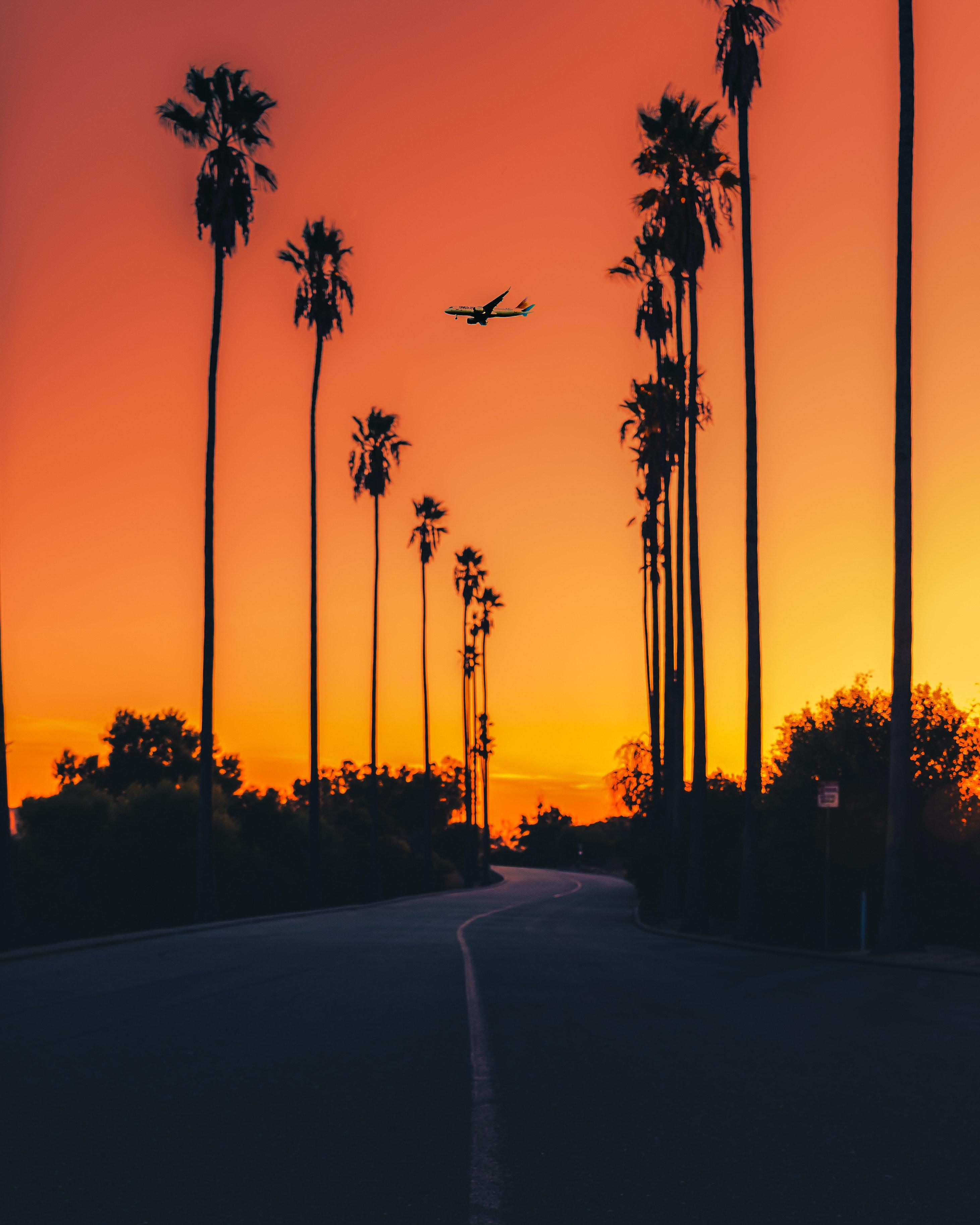 2923x3654 Orange Sky Photo, Download The BEST Free Orange Sky & HD Image