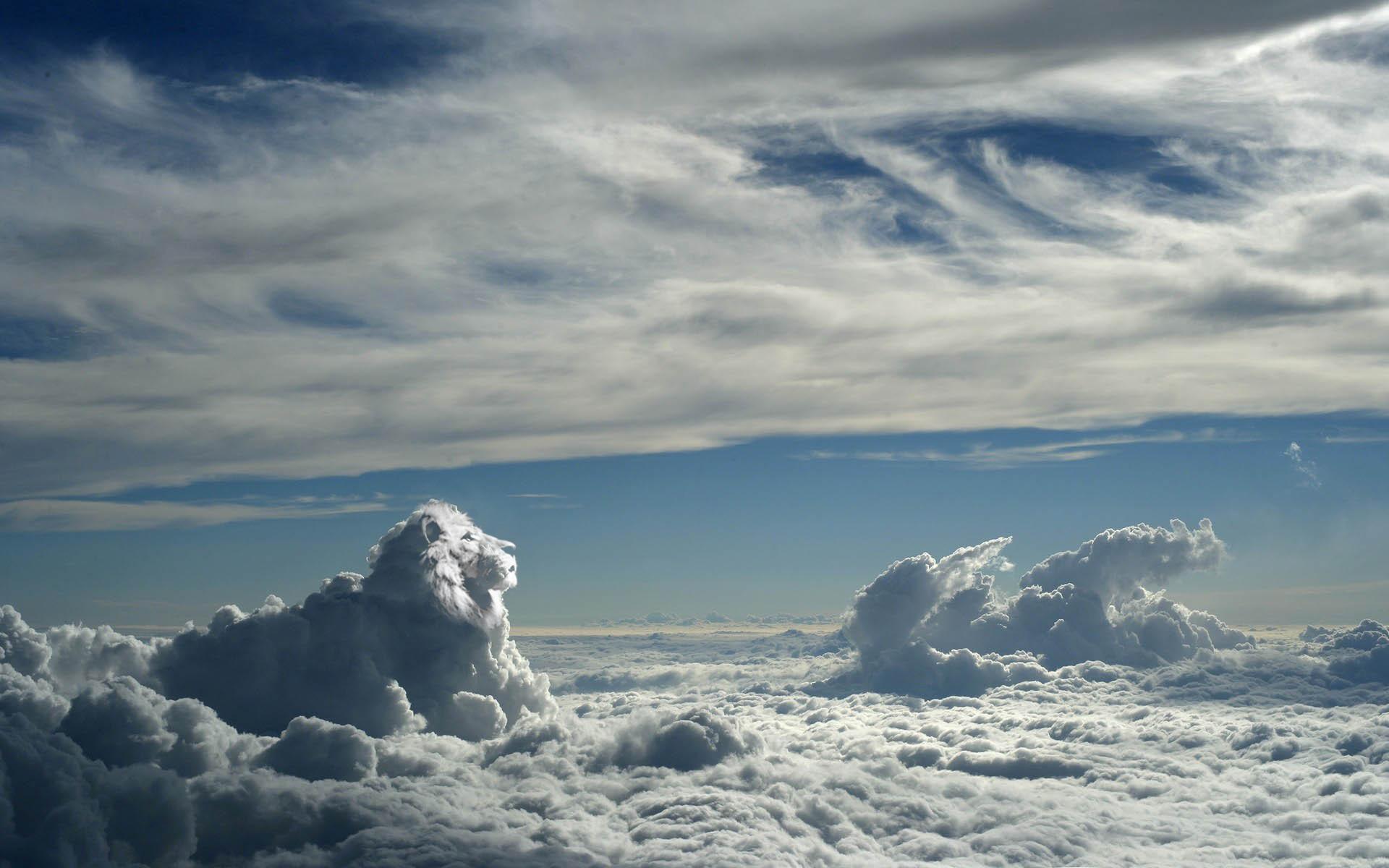 1920x1200 Free photo: Above The Clouds, Airplane, Cloud