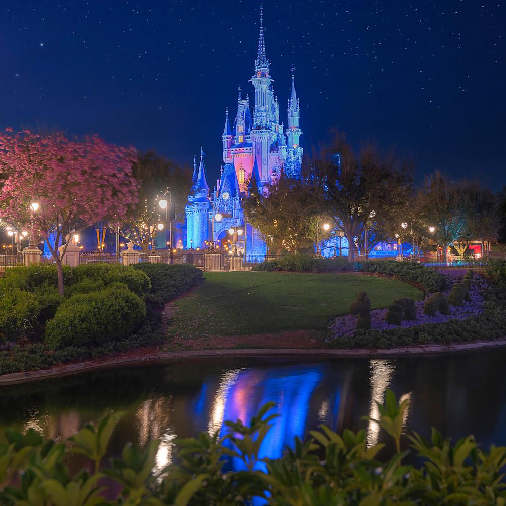 1000x1000 Magic Kingdom Castle at Night Wall Art for Adults