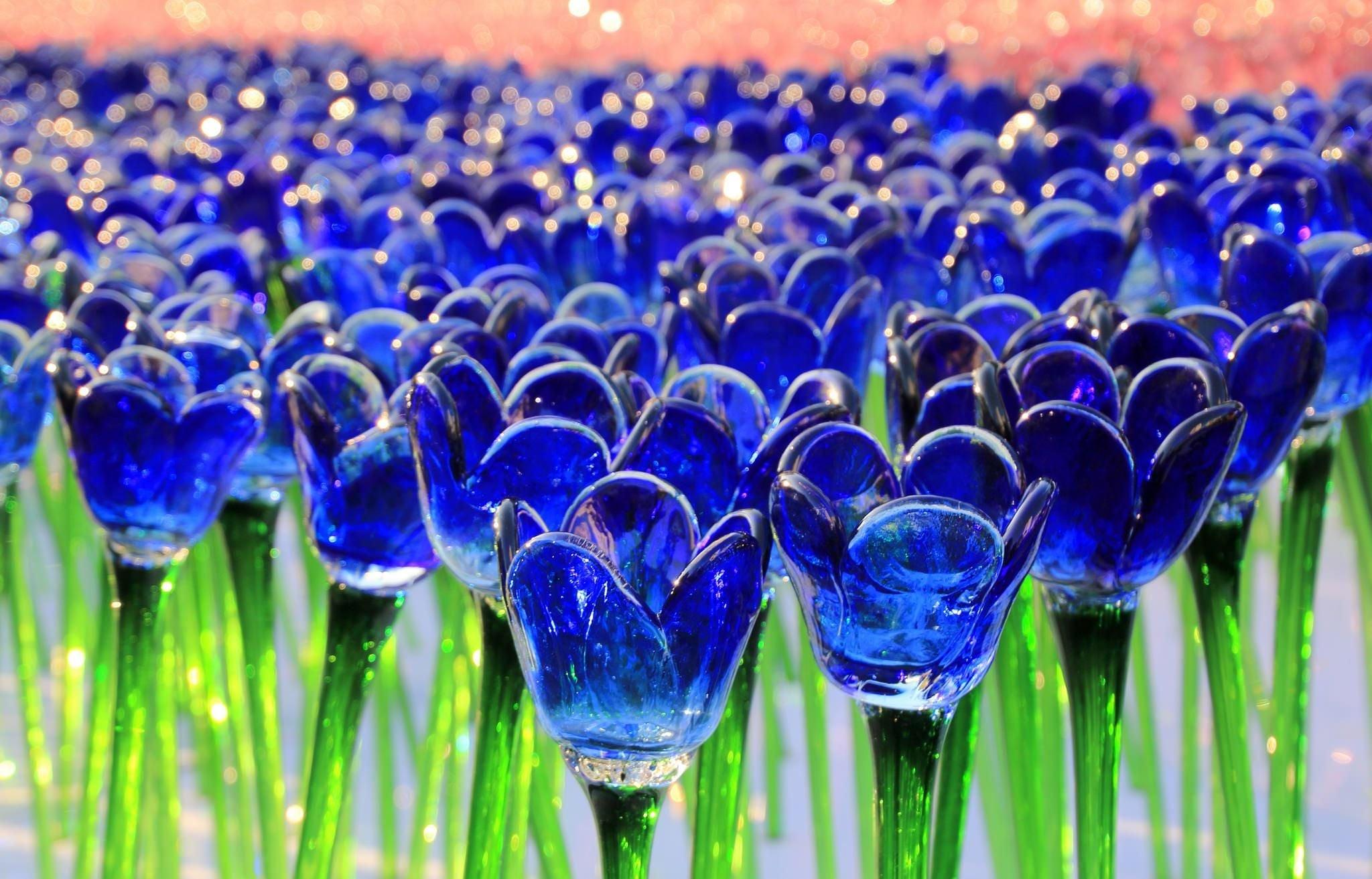 2048x1313 blue glass Tulips HD wallpaper