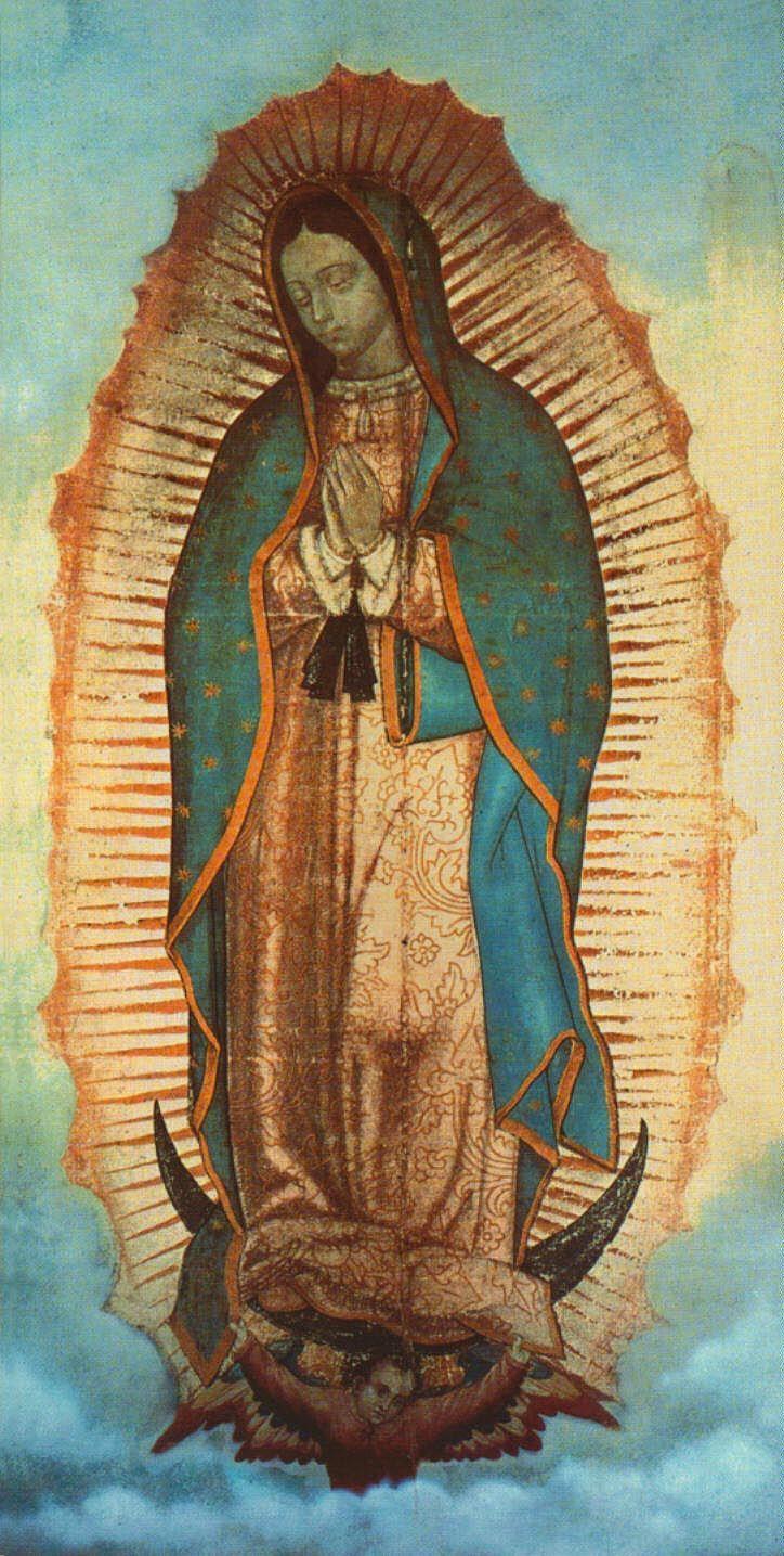 724x1435 Our Lady Of Guadalupe Wallpaper