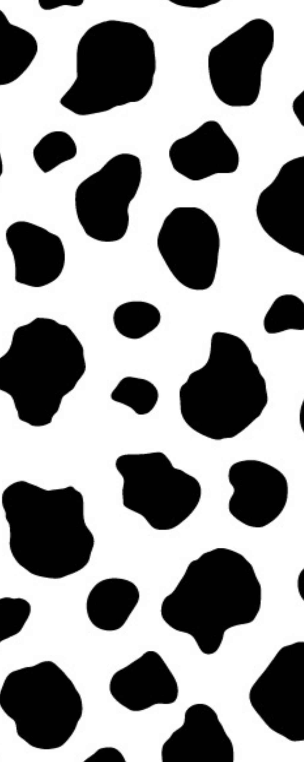 Black and White Cow Print Wallpapers - Top Free Black and White Cow ...