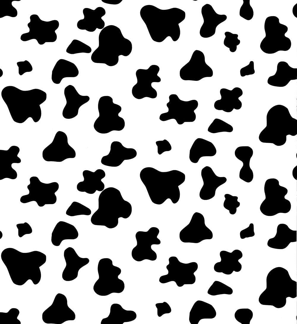 Black and White Cow Print Wallpapers Top Free Black and White Cow Print Backgrounds