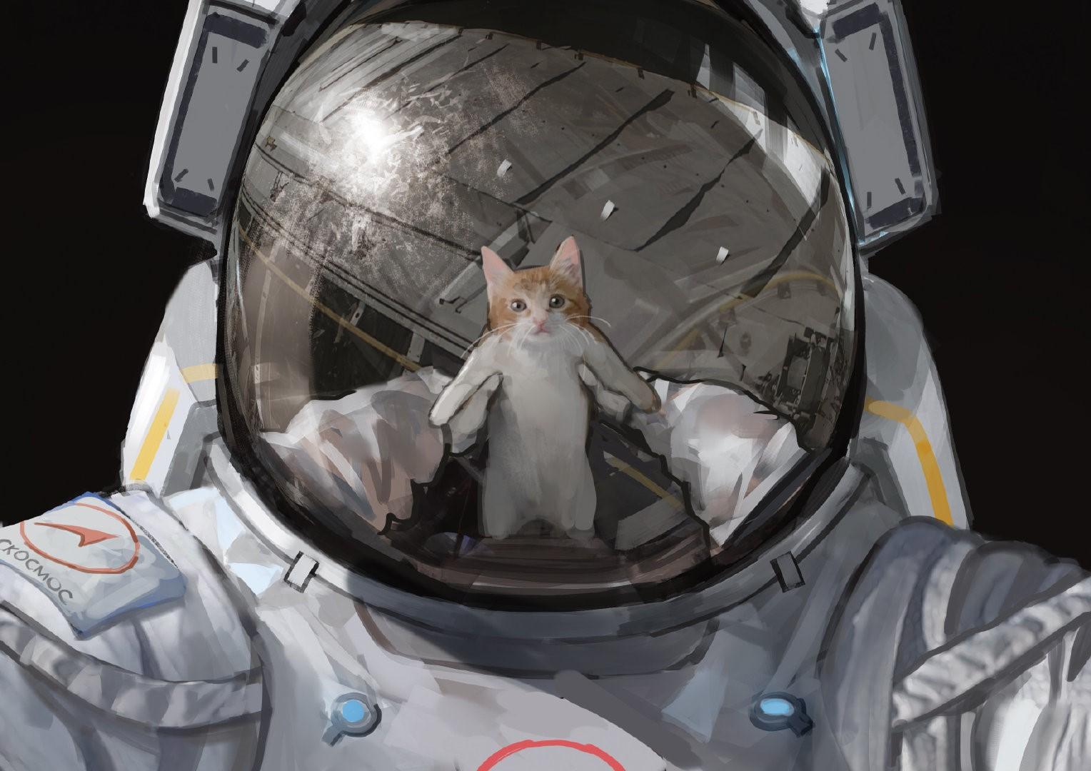 1528x1080 space, artwork, helmet, astronaut, cats Gallery HD Wallpaper