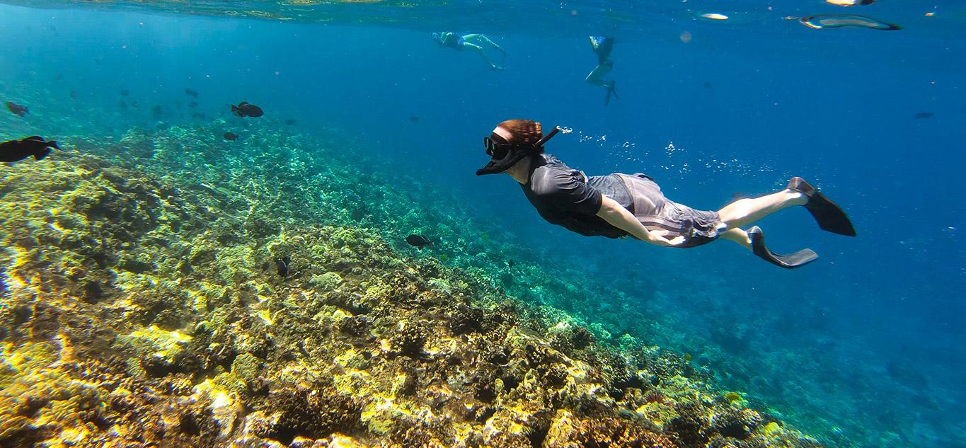 1365x633 Kihei Top Things To Do. Activities To Do in Kihei Maui