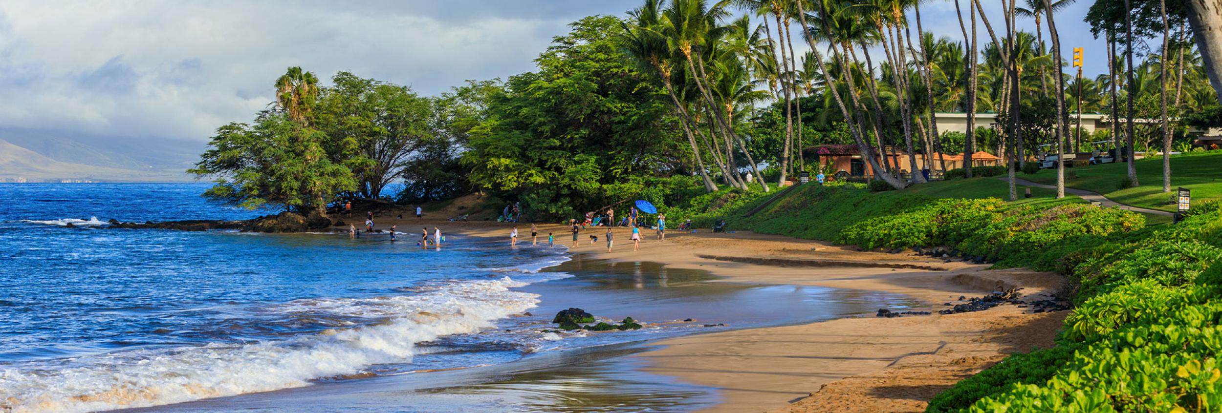 2500x846 Best Beaches To Visit in Kihei & Wailea