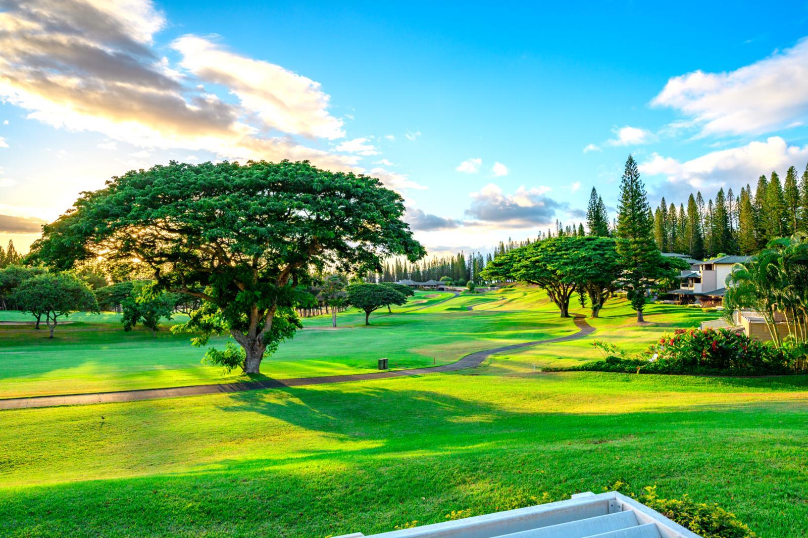 1600x1065 KBM HAWAII Golf Villas #KGV 16P3 Vacation Rental At Kapalua In West Maui On Maui Island