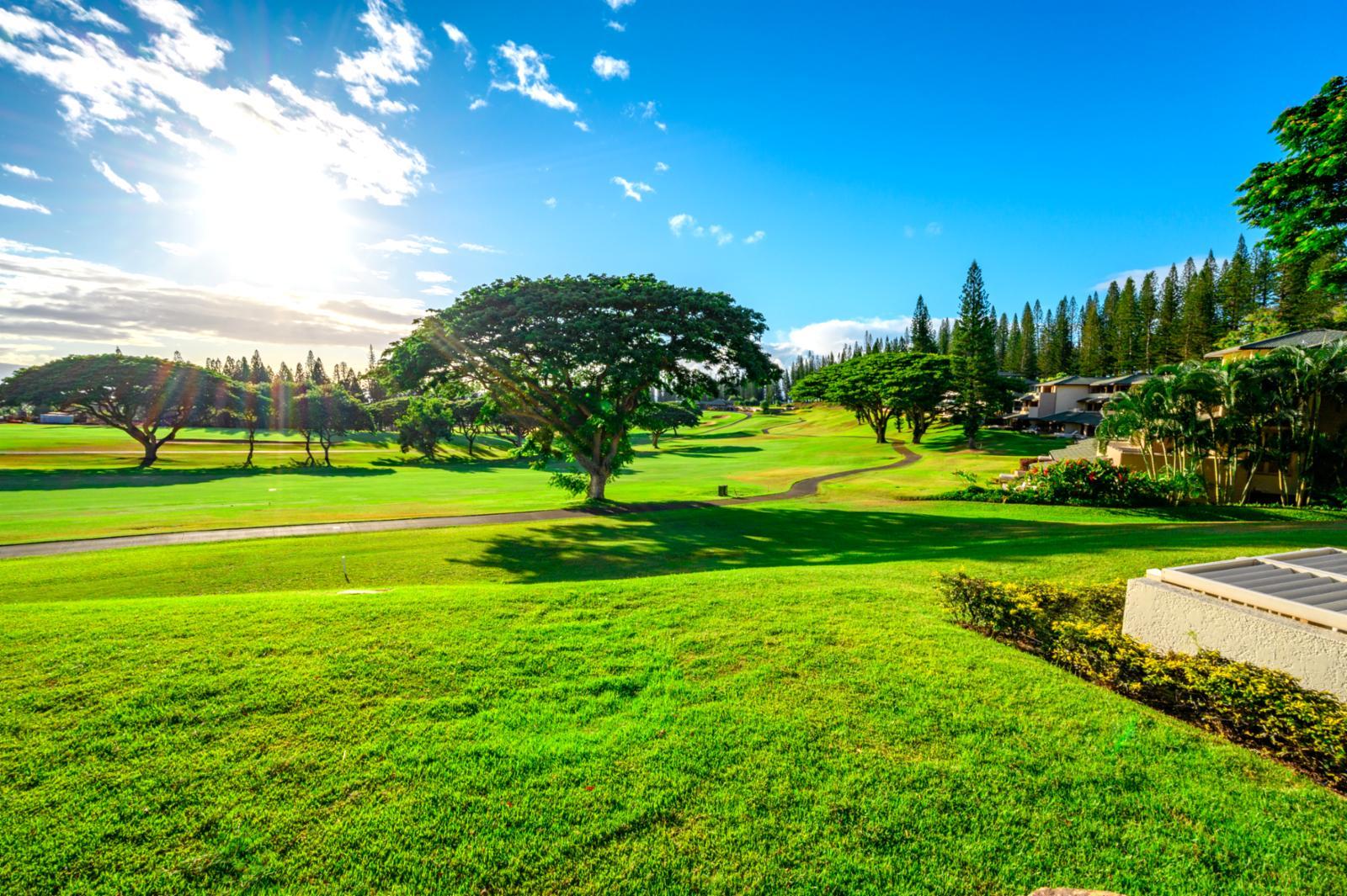 Kapalua Golf Wallpapers Top Free Kapalua Golf Backgrounds