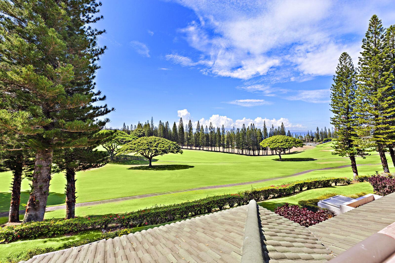 1600x1066 My Perfect Stays: Kapalua Golf Villa 12T 1 in West Maui