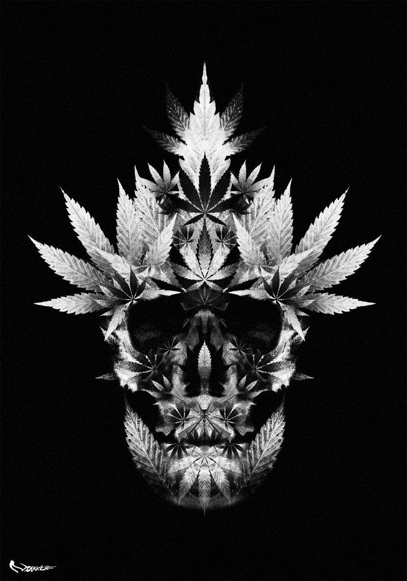 Weed Skull Wallpapers Top Free Weed Skull Backgrounds
