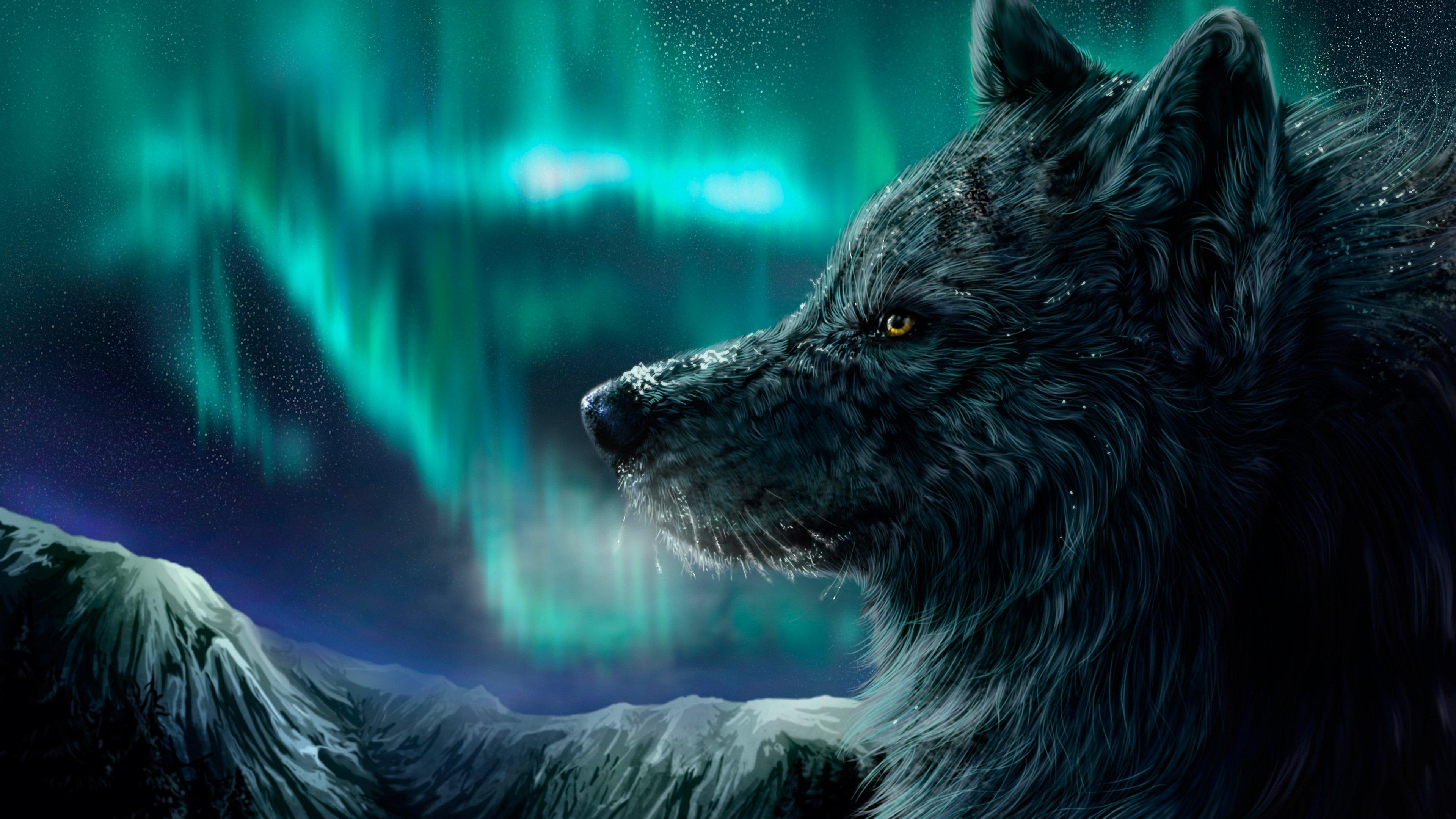3840x2160 Wolf with northern lights in background Wallpaper 4k Ultra HD