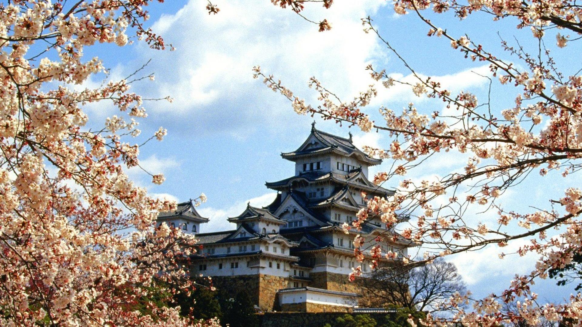 1920x1080 Japan nature cherry blossoms buildings castle himeji wallpaper